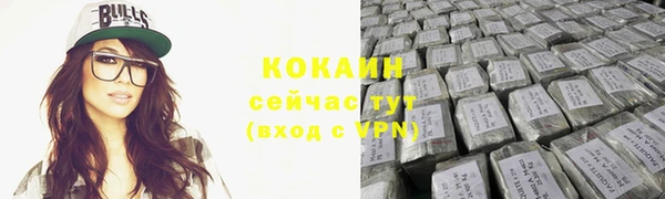 хмурый Белокуриха